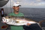 Amberjack metal jig Amberjack metal jig