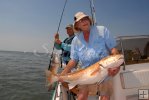 Redfish Action Redfish Action