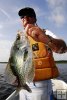 Black crappie with vivid markings Black crappie with vivid markings