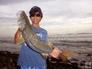 Venezuelan snook Venezuelan snook