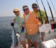 Kingfish Guys Kingfish Guys