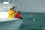 Catching blue runners Catching blue runners