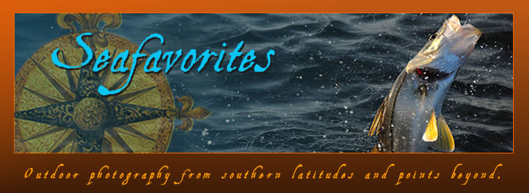 Stock photography by Seafavorites.com, Outdoor photography from southern latitudes and points beyond. Stock photography by Seafavorites.com, Outdoor photography from southern latitudes and points beyond.